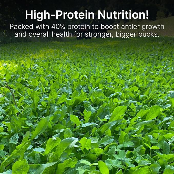 HIT LIST SEED® Chicory + Clover Food Plot Seeds for Deer [Perennial] - Deer Food Plot Seed Perennial - Deer Plot Seed Mix - Chicory, Ladino Clover, Red Clover - Spring, Summer & Fall Planting - 3 lbs