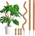 3 Pack Moss Pole, 63-Inch Moss Poles for Plants Monstera,Bendable Plant Support Stakes for Climbing Plants Indoor, Garden Trellis Plant Stick for Potted Plants, Pothos Philodendron