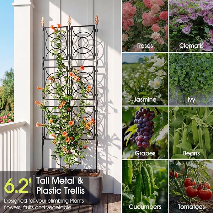 Trellis for Climbing Plants Outdoor, 24 Rifny Tall Garden Trellis Flower Rose Cucumber Trellis for Vines Pea Support, Wall Large Plant Trellis Fence with Plastic Coated Metal Poles, 3 x 6.2 FT