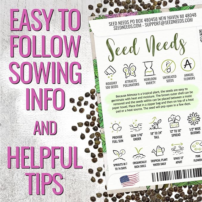 Seed Needs Sensitive Plant Seeds for Planting Mimosa pudica - Heirloom & Open Pollinated Annual Flowers - Pink Blooms with Leaves That React to Touch (5 Packs)