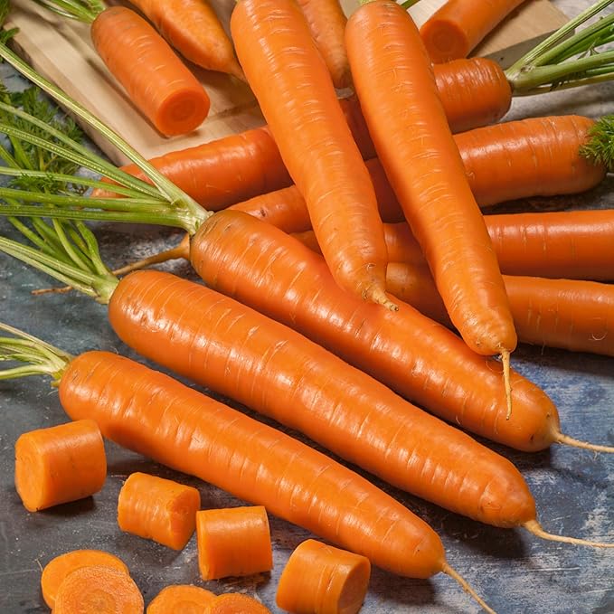 Culinary Blend Carrot Seeds - 4 Oz ~72000 Seeds - Non-GMO - Vegetable Garden - Daucus carota
