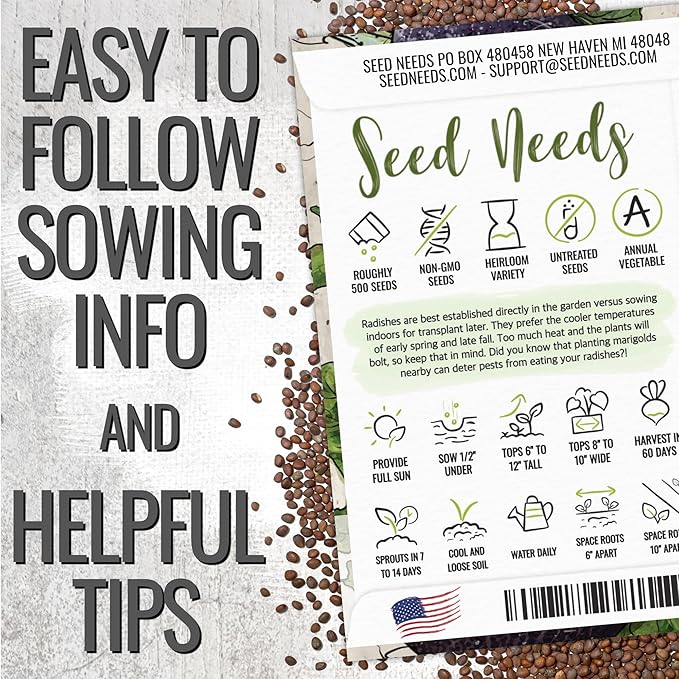 Seed Needs Radish Seeds for Planting Black Spanish Radishes - Non-GMO, Heirloom & Untreated - Grow a Home Grown Vegetable Garden - Cool Weather Crops (5 Packs)