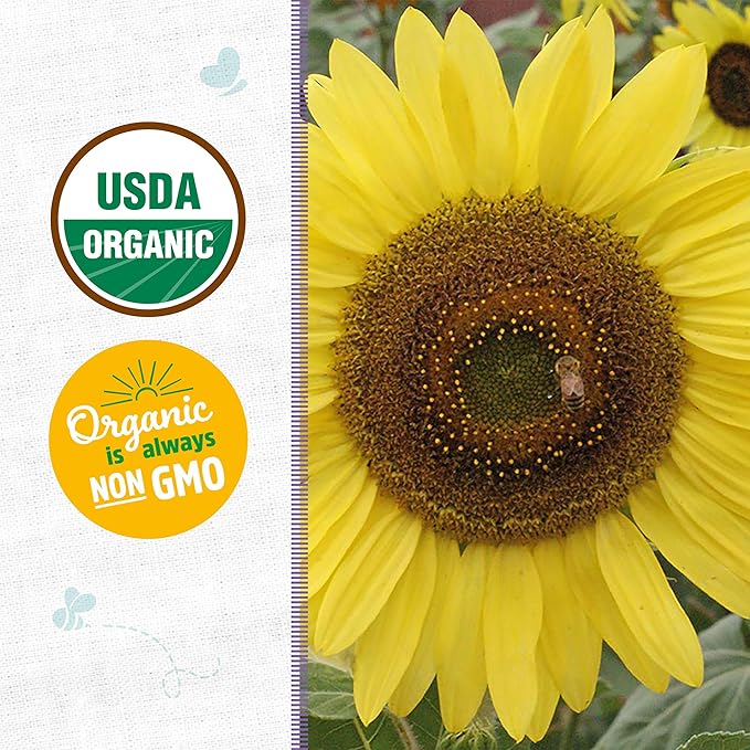 Back to The Roots 100% Organic Seed Packet - Sunflower 'Lemon Queen' 700mg