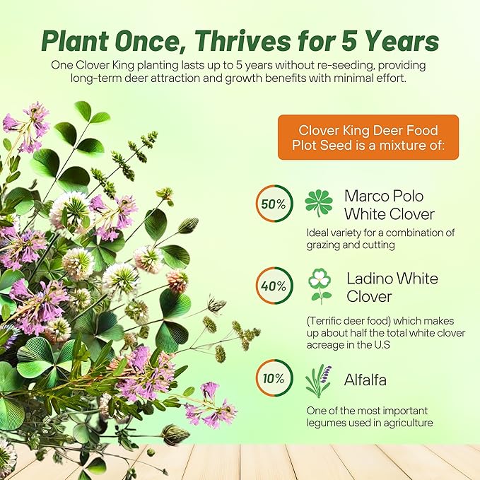 Outsidepride Perennial Clover King Seed Mix - 5 lbs Nitrocoated, Inoculated, Heat & Cold Tolerant, Alfalfa-Enhanced Food Plot Seeds for Deer & Wildlife, Ideal for Spring, Summer, & Winter Food Plots