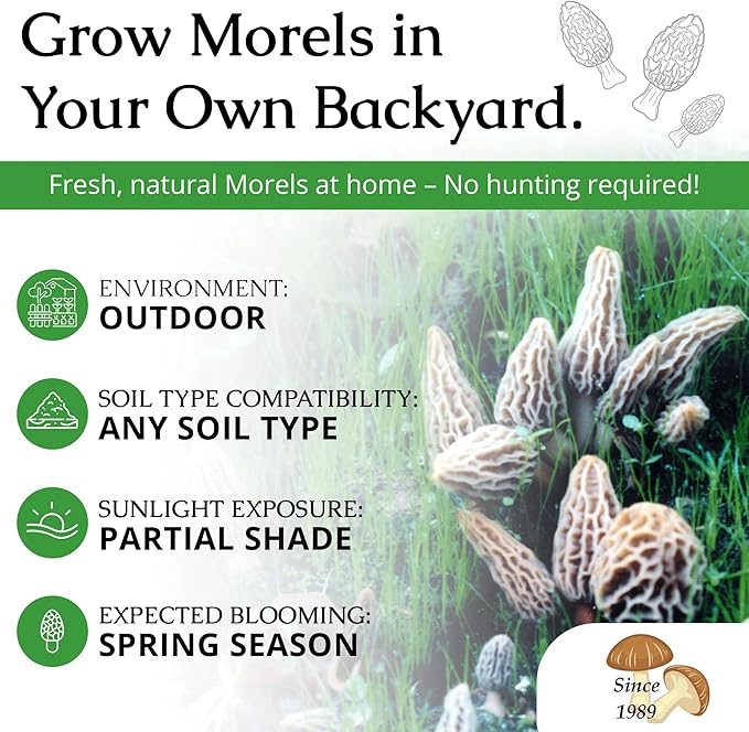 MOREL HABITAT KIT® Morel Mushroom Growing Kit (Morchella), Compatible with Any Soil Type Across The U.S., Outdoor Garden & Backyard Cultivation Set with Full Instructions - Made in The USA