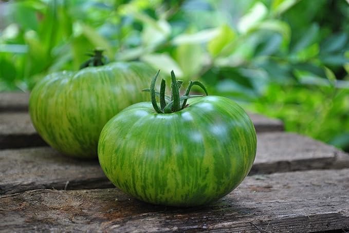 KIRA SEEDS - Seeds Green Zebra Tomato - Heirloom Vegetable - GMO Free