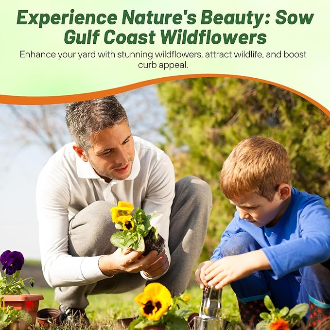 Outsidepride Gulf Coast Wildflower Seed Mix - 1/4 lb Perennial & Annual Wild Flowers for Full Sun & Partial Shade - Ideal for Pollinator Gardens & Vibrant Landscapes for Southern Florida & Texas