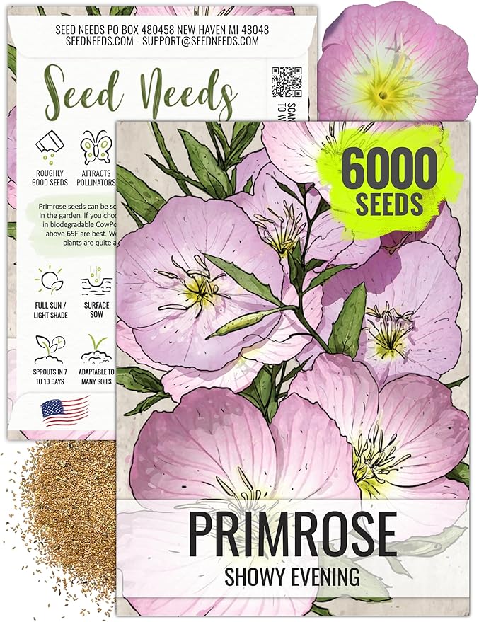 Seed Needs Showy Evening Primrose Seeds for Planting - Heirloom & Open Pollinated Perennial Flower Seed to Plant a Butterfly Garden (1 Pack)