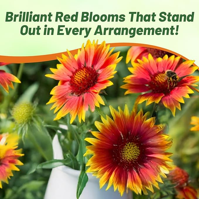 Outsidepride Gaillardia Aristata Arizona Red Shades Blanket Flower Seeds for Planting - 50 Pcs Perennial Wildflower Seeds, Drought-Tolerant for Xeriscaping, Pollinator Gardens, or Wildflower Mixes