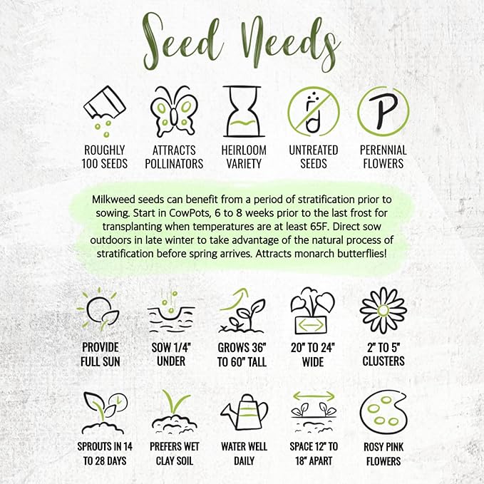 Seed Needs Pink Swamp Milkweed Seeds for Planting - Heirloom & Untreated - Grow a Butterfly Garden to Attract Monarch Butterflies & Pollinators (5 Packs)