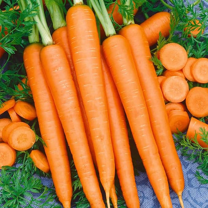 Tendersweet Carrot Seed - 1 Oz ~20,000 Seeds - Non-GMO, Heirloom Vegetable Garden Seeds - Gardening by Mountain Valley Seed