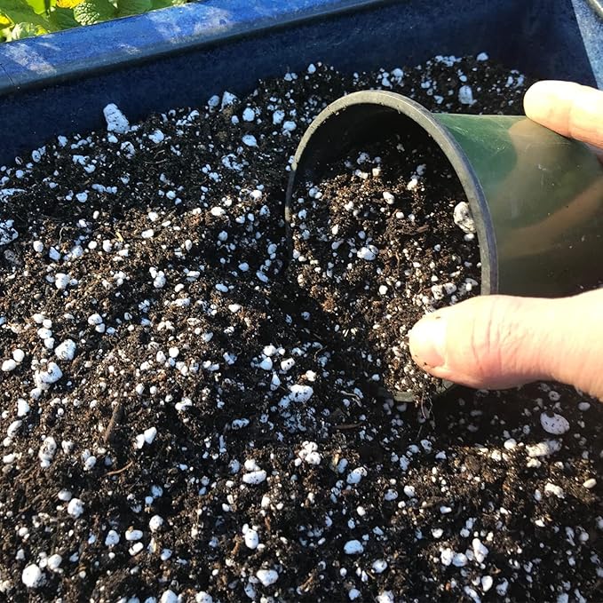 Organic Perlite for Plants, Soil Amendment for Enhanced Drainage and Growth, Ideal for Potting Mixes(4 Quart)