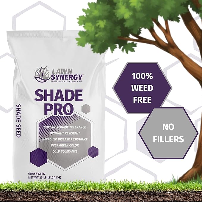 Shade Pro Grass Seed — Fine Fescue & Ryegrass Blend for Shaded Lawns — Thrives in Low-Light Areas — Dark Green, Dense Turf — 10 lb / 25 lb / 50 lb (10 lbs)