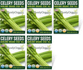 Organic Utah Tall Celery Seeds - USDA Organic, Non-GMO, Open Pollinated, Heirloom, USA Origin (5 Packets - 1.25 Grams - Approx 2500 Seeds)