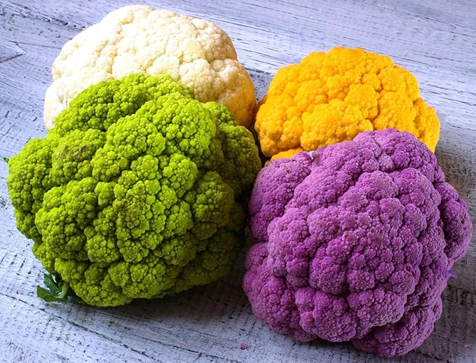 Seeds Cauliflower Cabbage Mix Heirloom Vegetable Non GMO for Planting