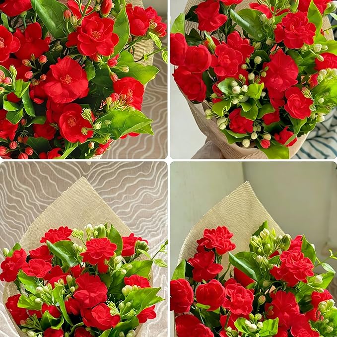 150+ Jasmine Flower Seeds for Planting, Jasmine Flower Seed, Non-GMO Fragrant Plant Flower Seeds for Home Garden Outdoor
