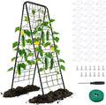 WAENLIR 50x17inch Cucumber Trellis Tomato cage with Dense Steel Grid–A-Frame Heavy Duty Metal Trellis for Raised Beds, Cattle Panels for Garden Trellis for Climbing Plants Outdoor (Black, 50x17inch)