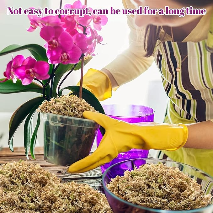 Legigo 3.5oz Premium Sphagnum Moss Potting Mix- 4 QT Natural Succulent Carnivorous Plants Moss Dried, Plant Growing Medium for Orchid Succulent Sarracenia Orchid Gardening Plants Reptiles