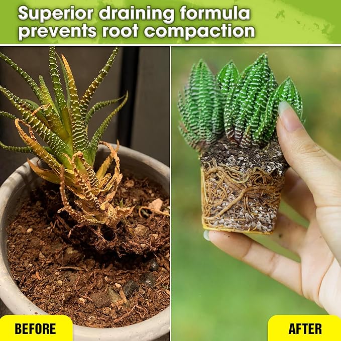 DUSPRO Succulents Soil Potting Mix – 7 in 1 Ingredients Well-Draining, Nutrient-Rich Cactus Potting Soil for Succulents and Cacti, Indoor & Outdoor Use, Ready to Use, Supports Healthy Root Growth, 4QT
