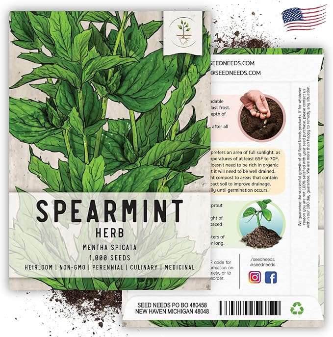 Seed Needs Mint Seeds for Planting Spearmint Herbs - Non-GMO Heirloom & Untreated Perennial Herb Seed to Plant a Home Grown Herb Garden Indoors or Outdoors (1 Pack)