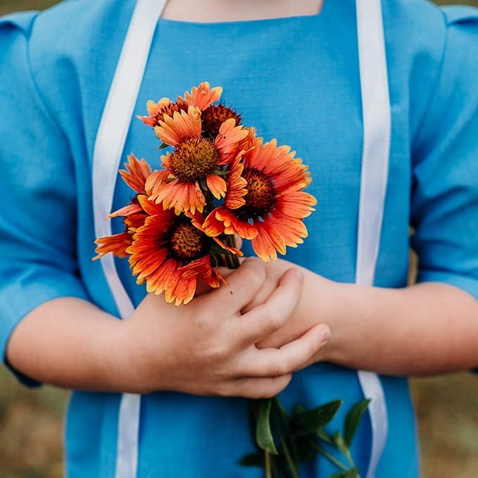 Blanket Flower Perennial Wildflower - 100 Seeds - Drought Tolerant Wildflower, Pollinator-Friendly, Perennial Flower Seeds for Planting Outdoors in The Home Garden, Thresh Seed Company