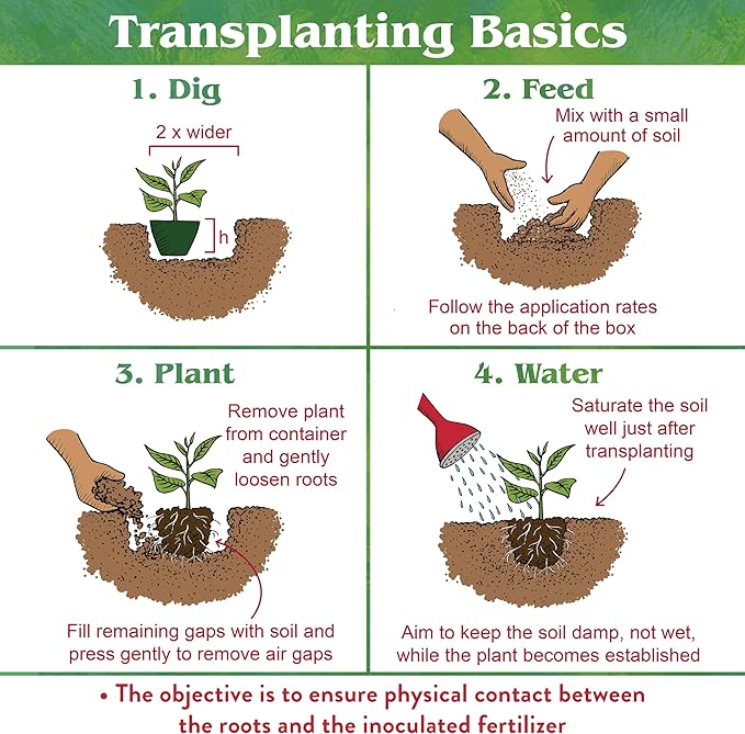 Down To Earth All Natural Fertilizers Organic Bio-Live Starter & Transplant Mix with Mycorrhizal Fungi and Benefical Microbes for Plant Food 5-4-2, 4 lb