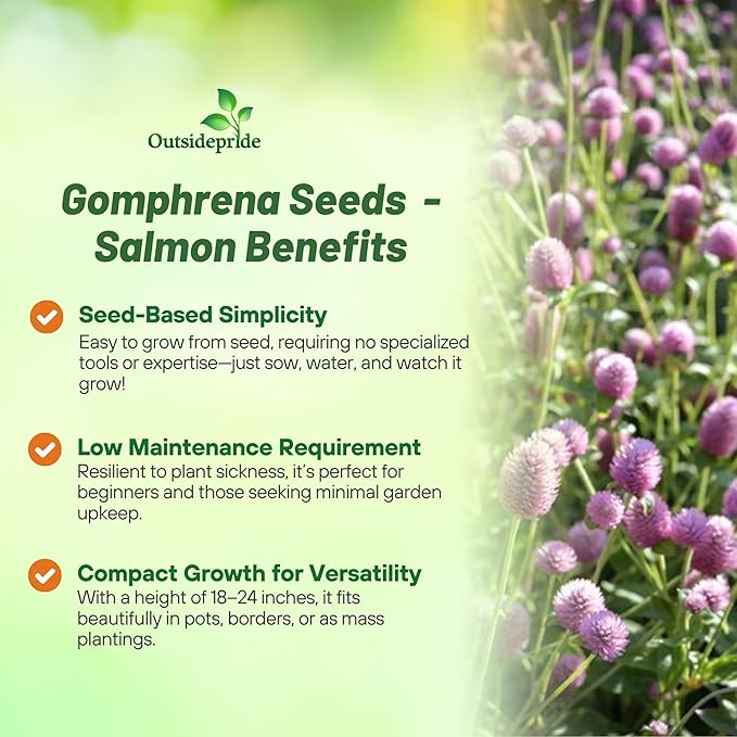 Outsidepride Salmon Gomphrena Seeds - 1000 Pcs Annual, Heat & Drought Tolerant, Pollinator Friendly Globe Amaranth Seeds for Planting w/Vibrant Round Blooms for Beds, Borders, and Arrangements