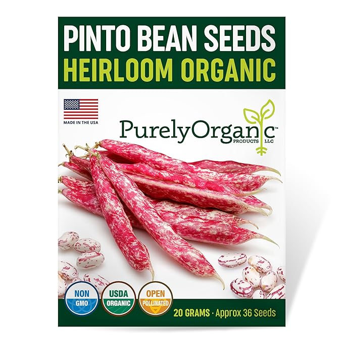 Purely Organic Pinto Bean Seeds - USDA Organic, Non-GMO, Open Pollinated, Heirloom, USA Origin (1 Packet - 20 Grams - Approx 36 Seeds)