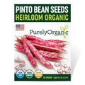 Purely Organic Pinto Bean Seeds - USDA Organic, Non-GMO, Open Pollinated, Heirloom, USA Origin (1 Packet - 20 Grams - Approx 36 Seeds)
