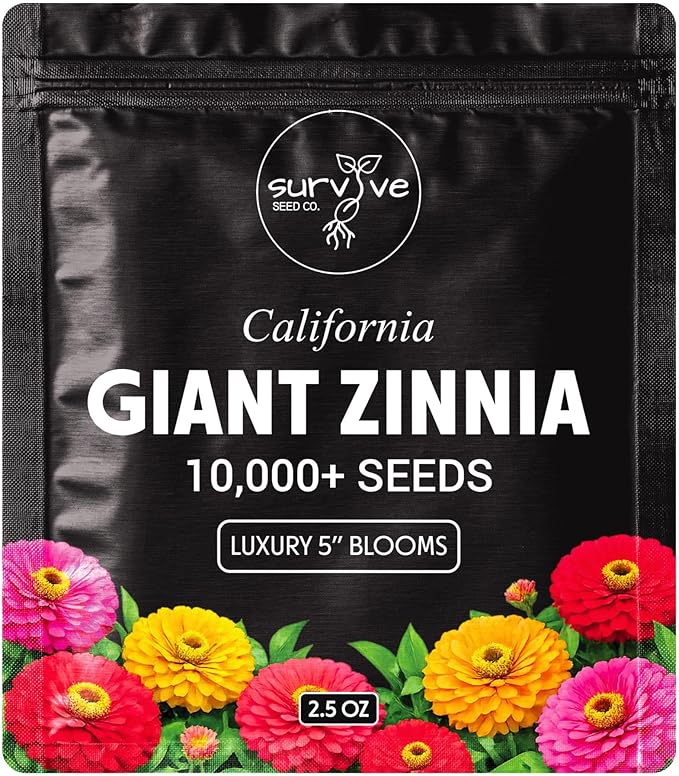 Zinnia Seeds California Giants Package of 10,000 Wildflower Seeds - Wild Flower Seeds Large Bright Blooms, Pure Non-GMO Flower Seeds for Planting, Neonicotinide Free