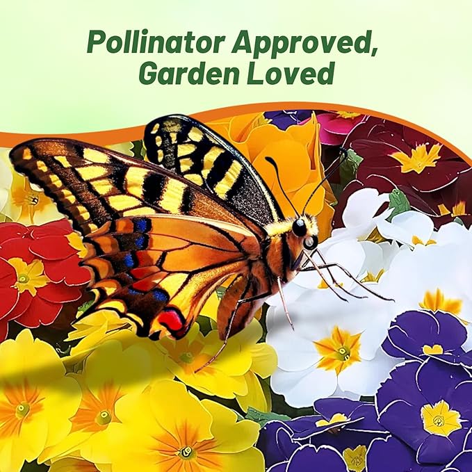 Outsidepride Danova Grower Mix Common Primrose Seeds - 50 Pcs Annual, Hardy, Easy to Grow & Low Maintenance Flower Seeds for Planting Vibrant Soft Blooms, for Containers, Borders & Erosion Control