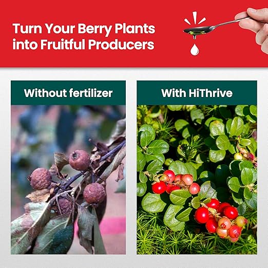 16oz Berry Fertilizer - Makes 16 Gallons of Fruit Tree Fertilizer for Elderberry, BlackBerry & More, Nutrient-Rich Liquid Plant Food for Strong Roots, Healthy Growth, and Flavorful Fruits