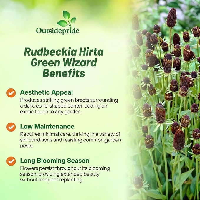 Outsidepride Green Wizard Rudbeckia Seeds - 100 Pcs. Perennial, Easy to Grow & Self-Seeding Flower Seeds for Planting Grenn Blooms, for Low Maintenance Pollinator Gardens & Erosion Control
