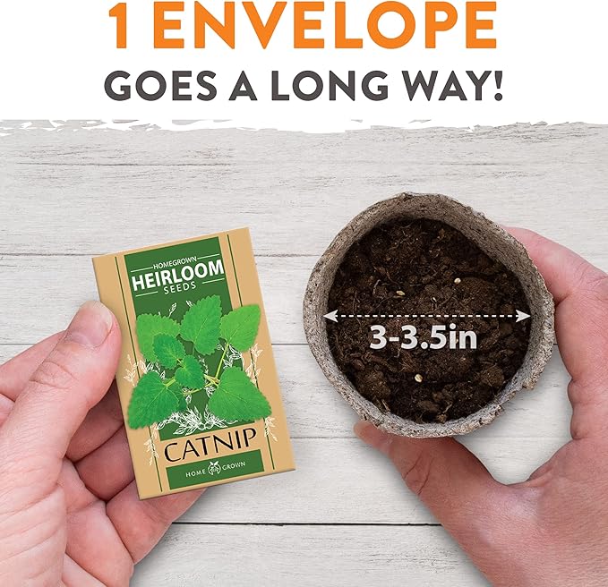 HOME GROWN 2,160+ Cat Plant Seeds Mix – Non GMO Heirloom Catnip, Lemongrass, Licorice, Thyme & Valerian – Pet-Friendly Indoor Garden Refill Kit for Cats & Kittens