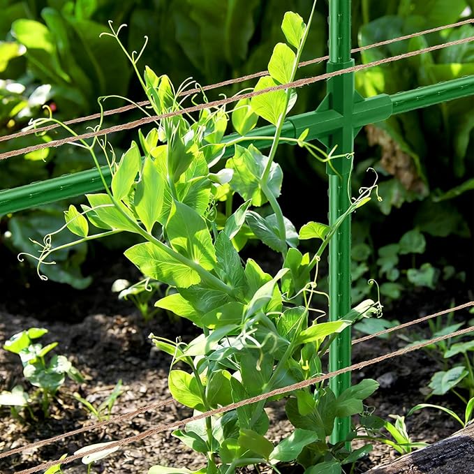 Pea Trellis, Trellis for Peas, 47" L x 65" H Tall Expandable Pea Trelli for Raised Bed Garden, Sturdy Garden Trelli for Beans, Peas & Other Climbing Vegetables
