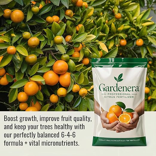 𝐁𝐄𝐒𝐓𝐒𝐄𝐋𝐋𝐄𝐑 Citrus Fertilizer + Vital Micronutrients - Perfect Balanced NPK for All Citrus - for Indoor and Outdoor Plants - Orange, Lime, Avocado and Lemon Tree Fertilizer [16 OZ]