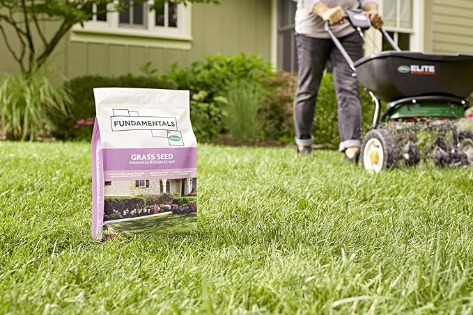 Scotts Grass Seed Perennial Ryegrass Mix, Ideal for Sunny, High Traffic Areas and Erosion Control, 3 lbs.