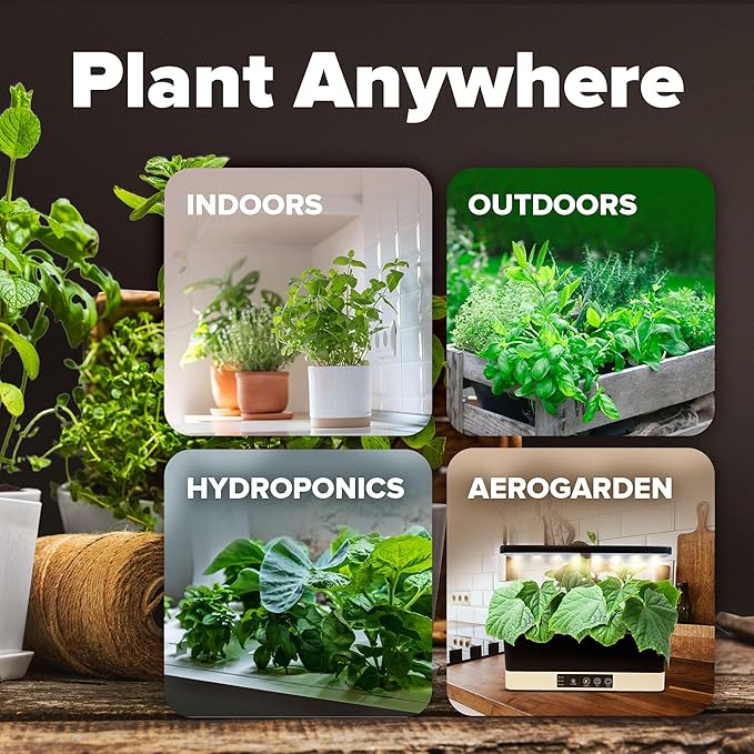 HOME GROWN Heirloom Vegetable Seeds - 15 Varieties, 7,000+ Non GMO Seeds for Planting, Complete Vegetable Garden Kit for Indoor & Outdoor Growing, Survival Seed Vault for Preppers