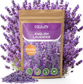 7,000+ Lavender Seeds Large Non GMO 3/4 Ounce Packet English Lavender Seeds- Heirloom Seeds Lavandula Angustifolia Wildflower Seed for Planting Indoor/Outdoor, High Germination, Plant Flower Seeds