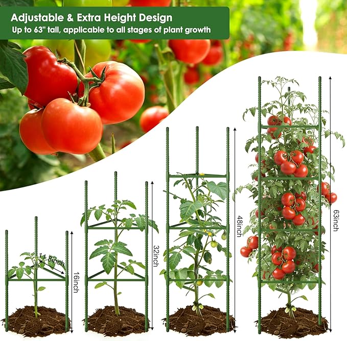 CEWOR Tomato Cage - 3 Pack Tomato Trellis, 63 Inch Tomato Cages for Garden, Extra Tall Plant Support Triangle Structures Garden Stakes for Climbing Plants Outdoor, Pots, Raised Garden Bed, Vegetables
