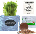 Cali Kiwi Pros Cat Grass for Indoor Cats Kit – Organic Wheatgrass Seed & Soil, Hairball Remedy in Red Cedar Planter, Gift Box with Bonus Label, Pen & 10% Cat Treats Discount (Coast)