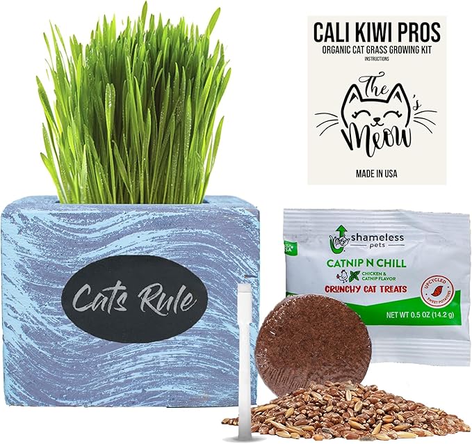 Cali Kiwi Pros Cat Grass for Indoor Cats Kit – Organic Wheatgrass Seed & Soil, Hairball Remedy in Red Cedar Planter, Gift Box with Bonus Label, Pen & 10% Cat Treats Discount (Coast)
