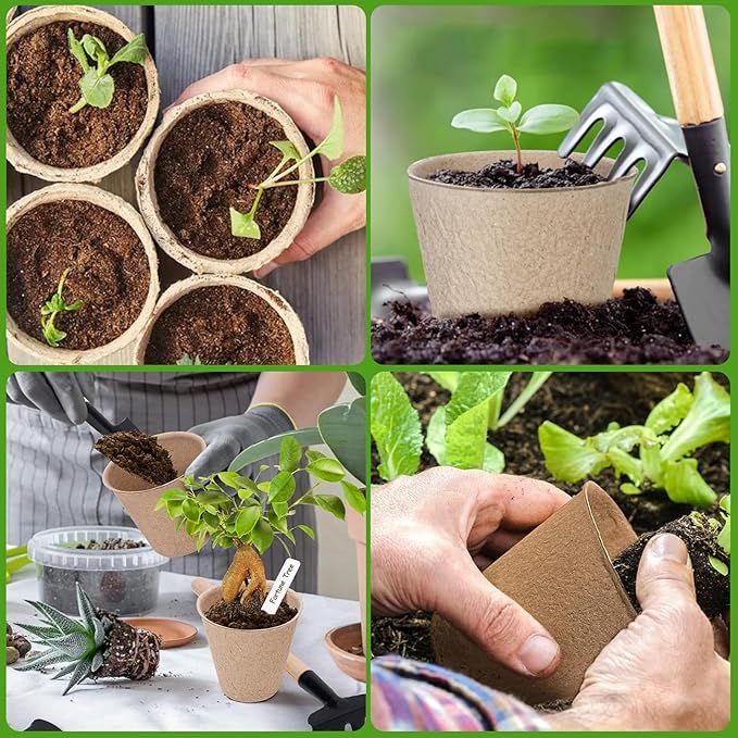 Jolliance 60 Pack 4” Peat Pots for Seeding with 60Pcs Plant Labels, Biodegradable Seed Starter Pots with Drainage Holes, Garden Germination Nursery Pots