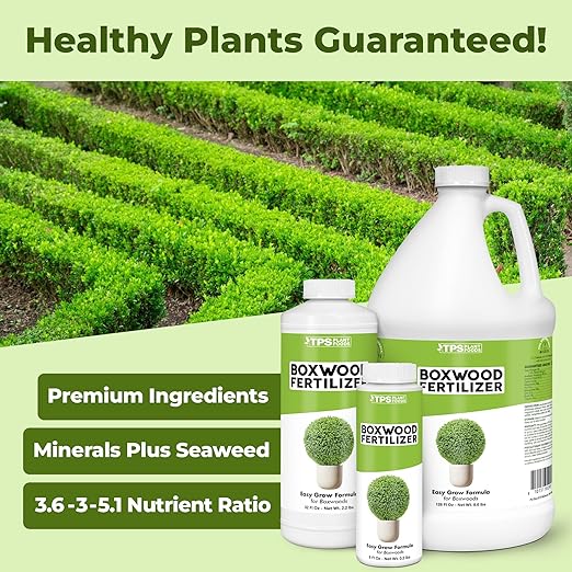 Boxwood Fertilizer – Liquid Plant Food for Dense Growth, Rich Green Foliage, & Stronger Roots, 32 oz
