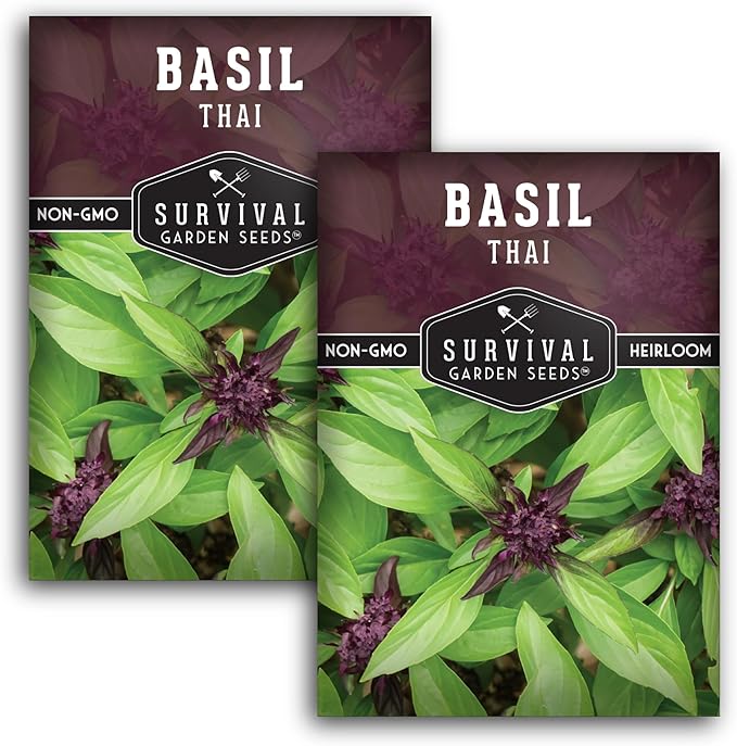 Survival Garden Seeds - Thai Basil Seed for Planting - 2 Packets with Instructions to Plant and Grow Asian Basil Indoors or Outdoors in Your Home Vegetable Garden - Non-GMO Heirloom Variety