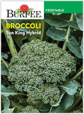 Burpee Sun King Hybrid Broccoli Seeds - Heat-Tolerant, High-Yield Hybrid