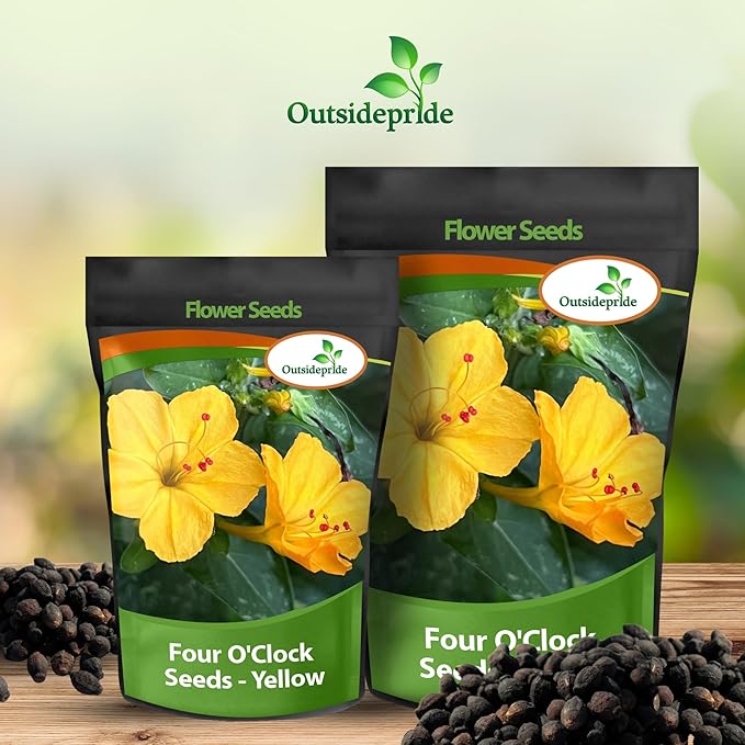 Outsidepride Yellow Four O'clock Flower Seeds - 1/4 lb Perennial Fragrant, Trumpet-Shaped Blooms, Deer-Proof & Easy to Grow, for Pollinator & Evening Gardens, Containers, Hedges, or Borders