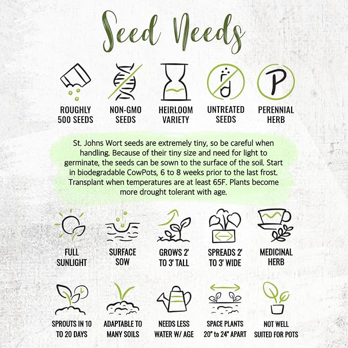 Seed Needs St. Johns Wort Seeds for Planting - Non-GMO Heirloom & Untreated Medicinal Herb Seed to Plant a Home Grown Outdoor or Indoor Garden (2 Packs)