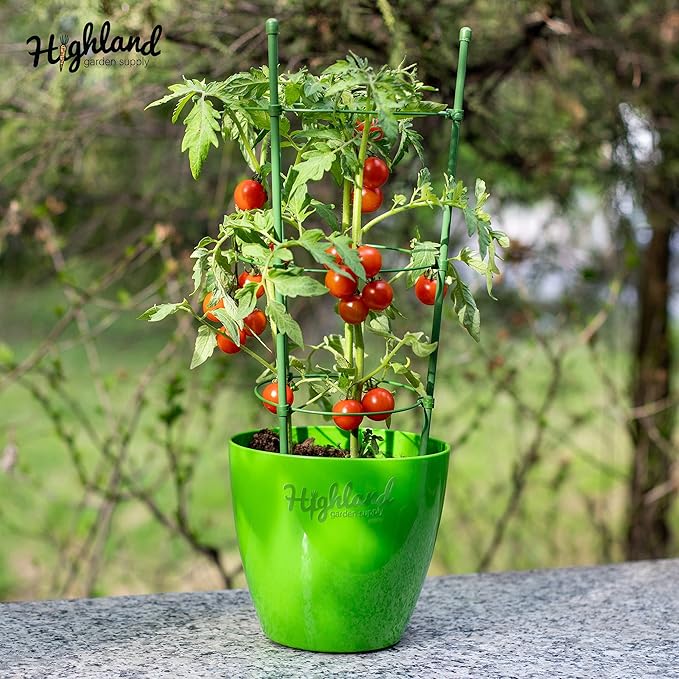 Tomato Cages for Garden Cherry Tomato Cage Plant Support Structures, Vegetables Climbing Plants Plant Trellis for Climbing Vegetable Metal 18" 3Pack