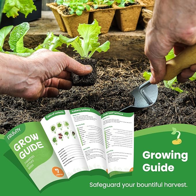 7000+ Organic Lettuce Seeds Collection - 7 Variety Heirloom Lettuce Mix Romaine, Iceberg Lettuce etc Non-GMO, Seeds for Planting Vegetable for Hydroponics or Garden (7 PCS)